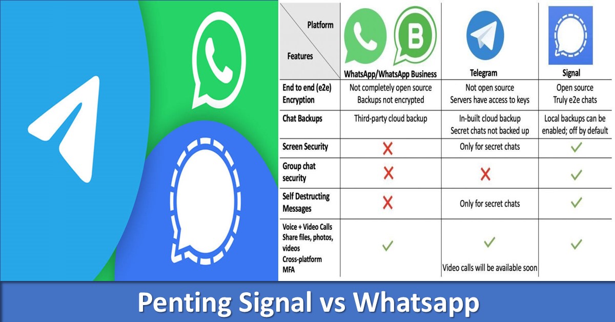 Penting Signal vs Whatsapp TechBanget