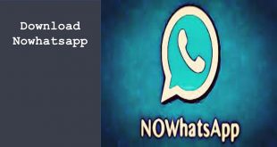 Download Nowhatsapp