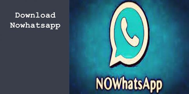 Download Nowhatsapp