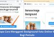 Beberapa Cara Mengganti Background Foto Online Mudah Bagi Pemula