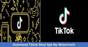 Download Tiktok Mod Apk No Watermark