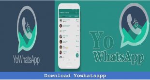 Download Yowhatsapp