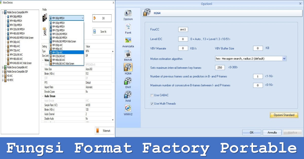 Format factory portable. Format factory portable