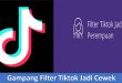 Gampang Filter Tiktok Jadi Cewek