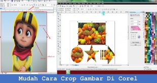 Mudah Cara Crop Gambar Di Corel