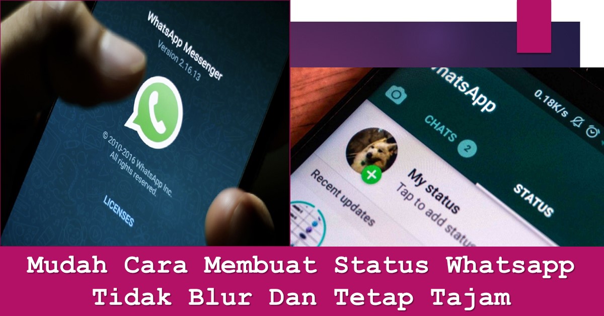 Mudah Cara Membuat Status Whatsapp Tidak Blur Dan Tetap Tajam | TechBanget