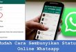Mudah Cara Sembunyikan Status Online Whatsapp