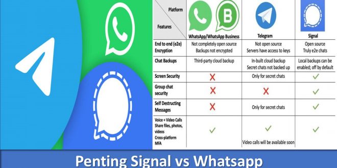 Penting Signal vs Whatsapp